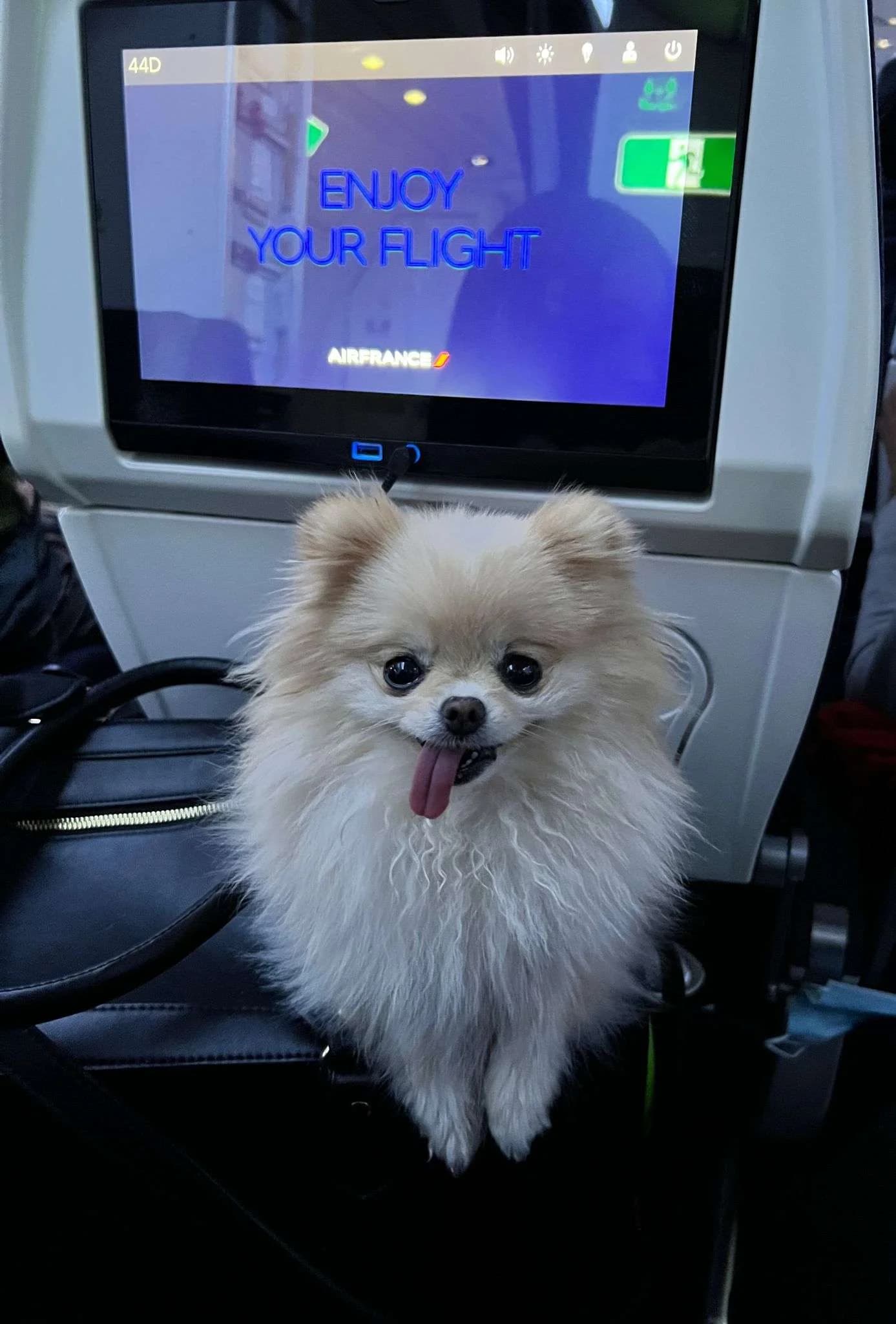 Chanel a bordo do avião em sua viagem para o Reino Unido