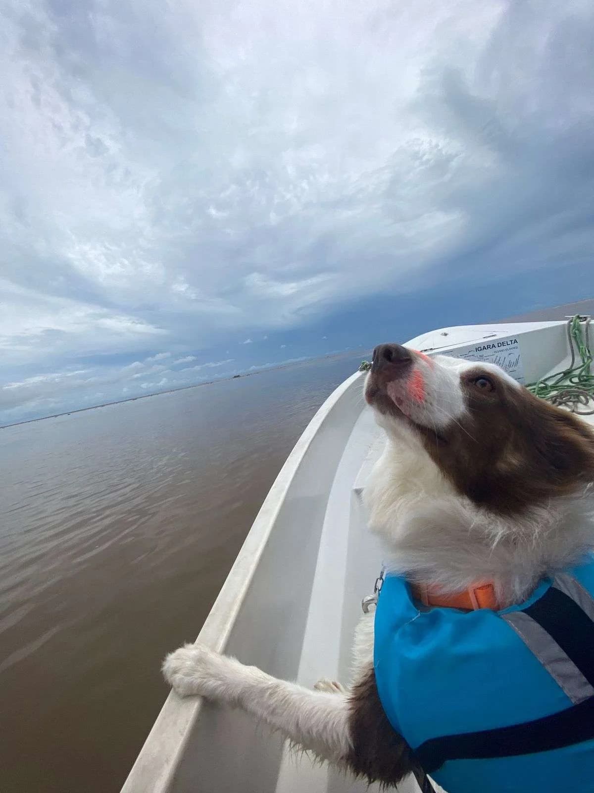 Pipo usando colete em um passeio de barco nos Estados Unidos